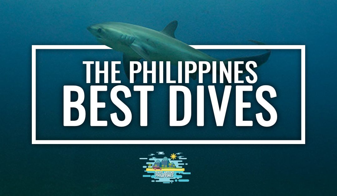 Best dives in the Philippines