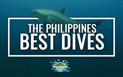 Best dives spots in the Philippines