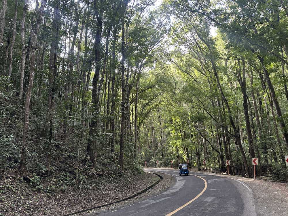 Visit Made Man Forest