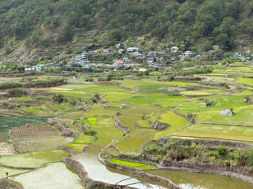 Kapay-aw Rice Terraces