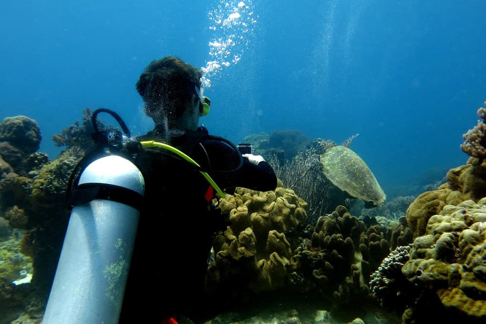 dive in Siquijor