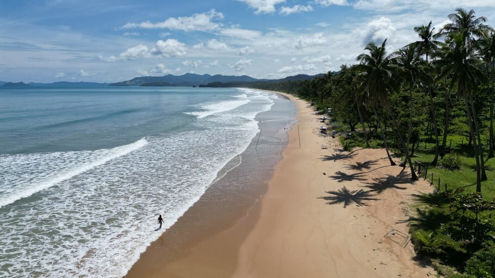 Long Beach, San Vicente