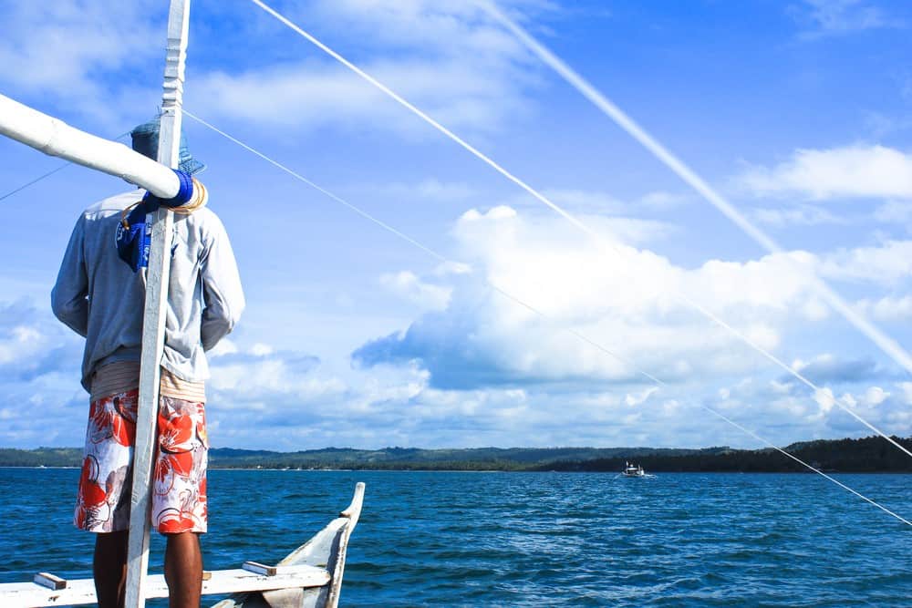 boats looking for whale sharks in Donsol