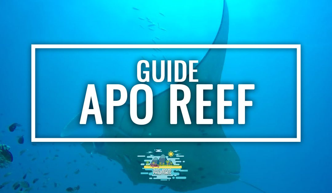 Apo Reef, The Philippines