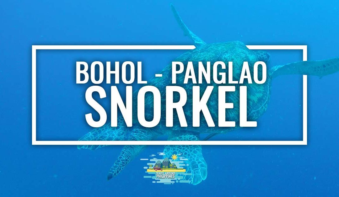 Snorkeling in Bohol and Panglao: best spots