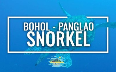 Snorkeling in Bohol and Panglao: best spots