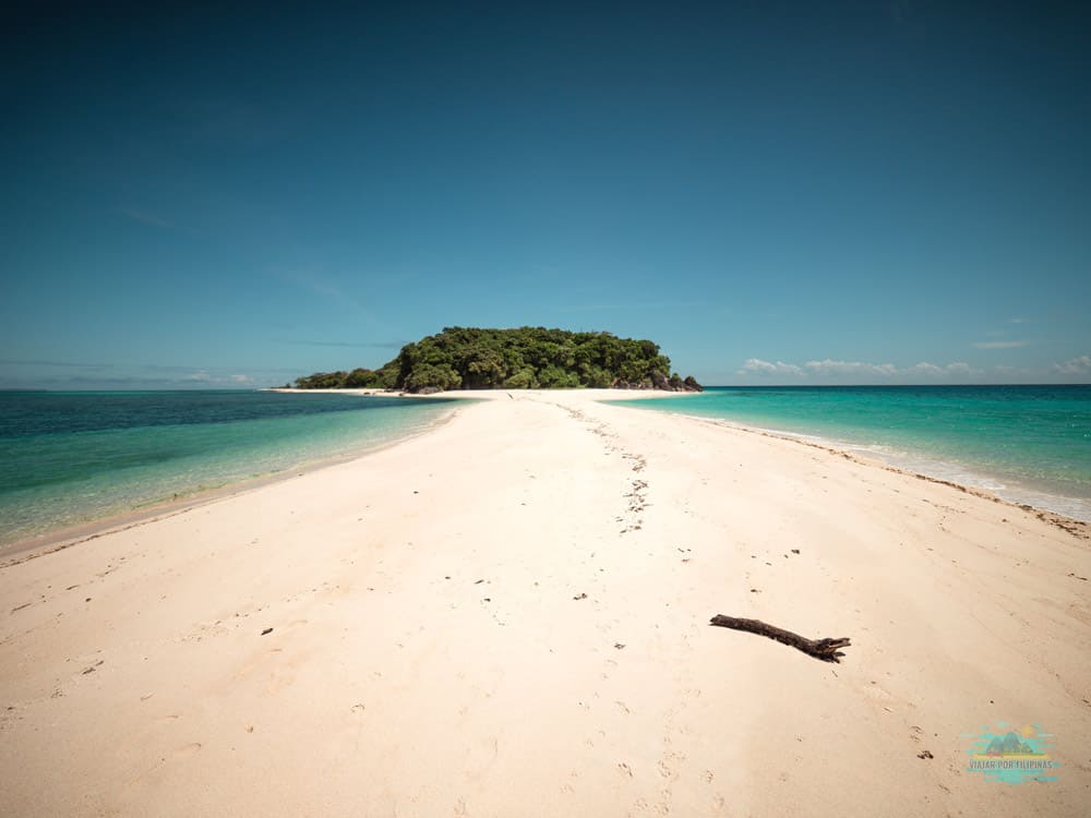 Wonderful Cresta de Gallo, Philippines