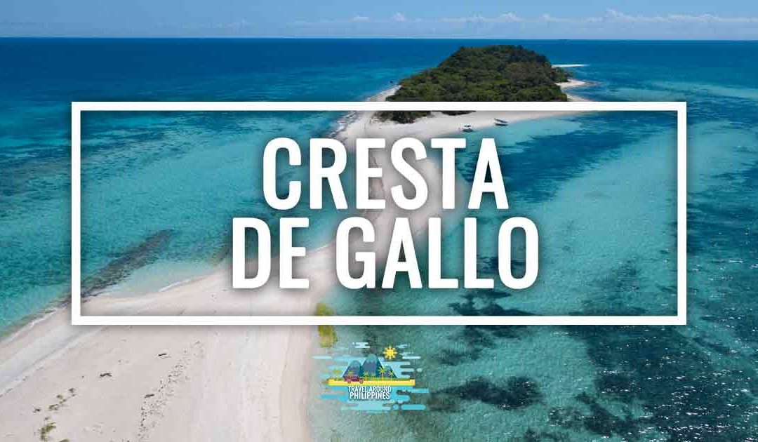 Cresta de Gallo, the best island in the Philippines?