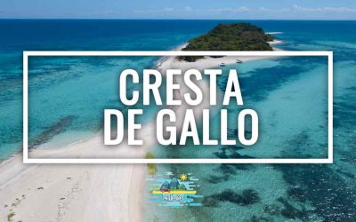 Cresta de Gallo, the Best Island in the Philippines? Complete Travel Guide