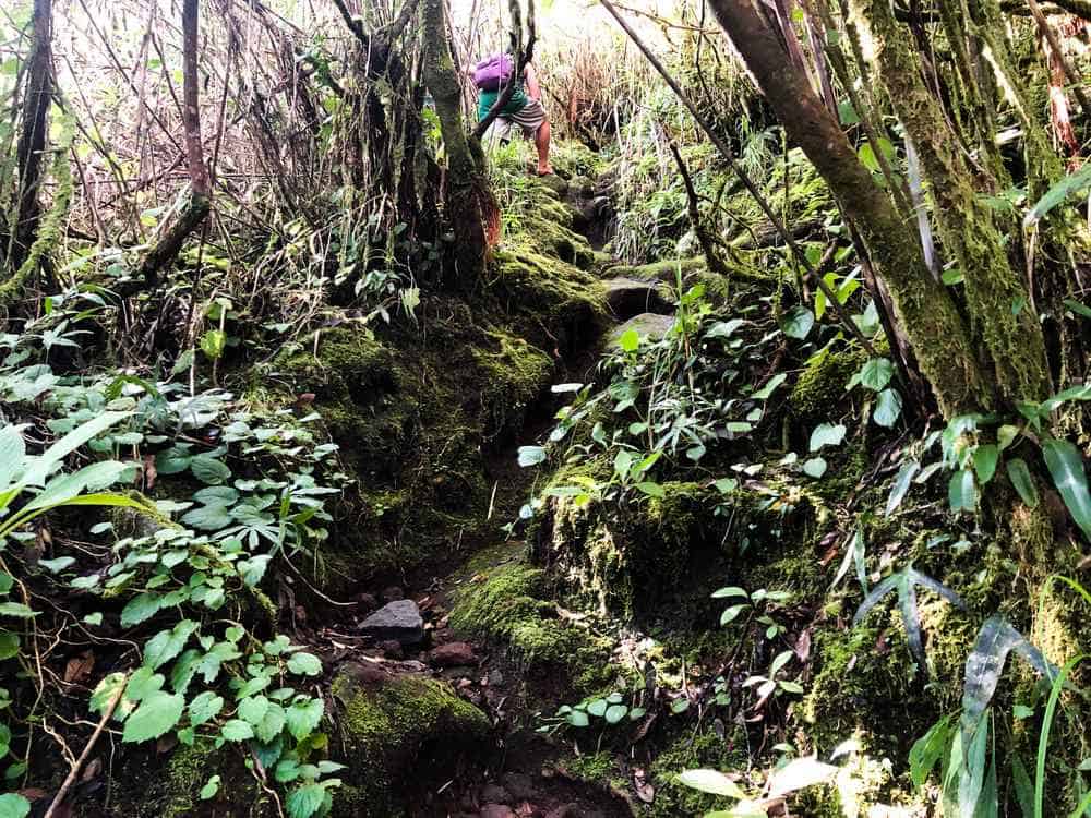 paths of ascent to hibok-hibok