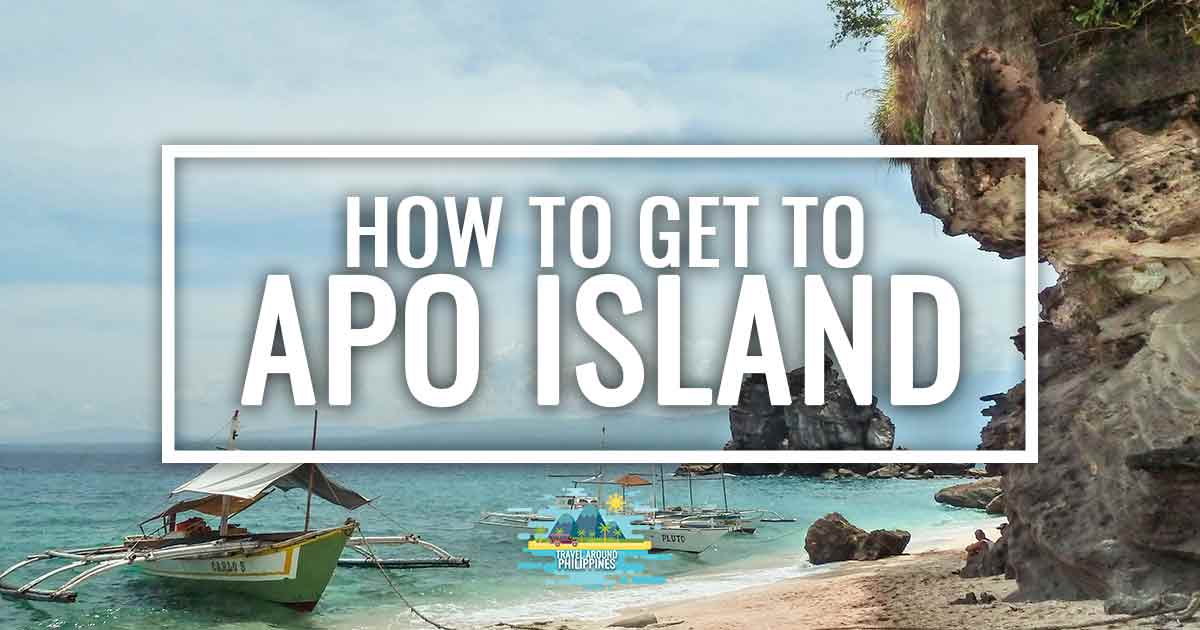 Apo Rwp How to get to Apo Island: easy guide - Travel around The Philippines