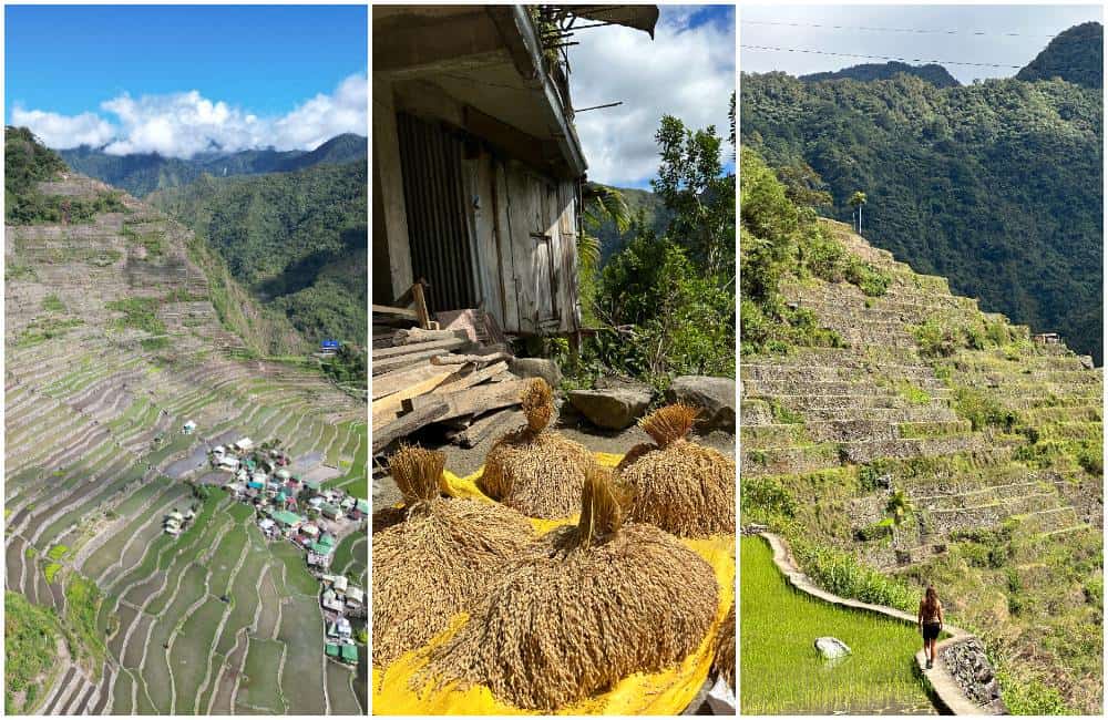 Banaue Rice Terraces