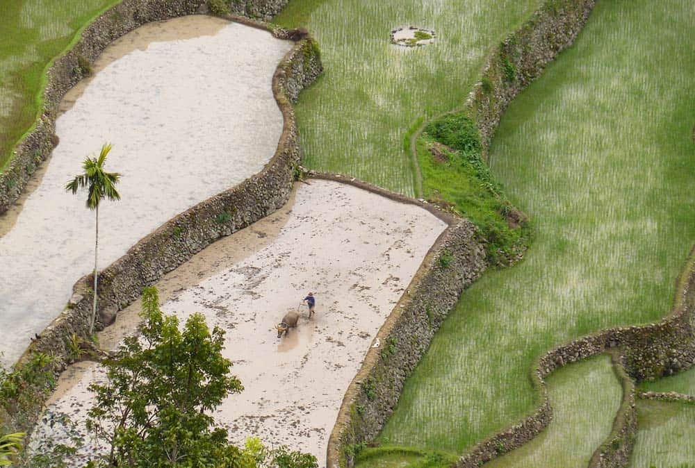 what to see in Banaue