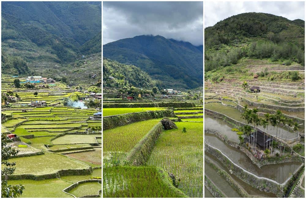 Hungduan Rice Terraces Banaue what to see