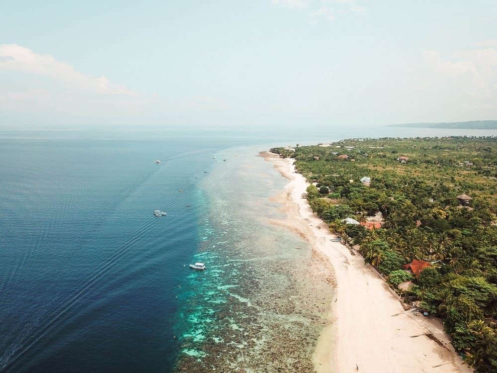 Snorkeling at White Beach, one of the best things to do in Moalboal