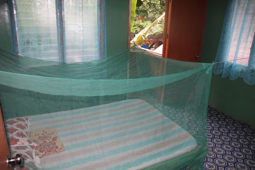 Ronor's Homestay Apo Island