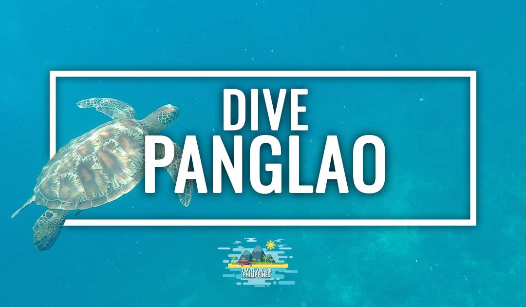 Diving in Panglao: Best spots and recommended dive center