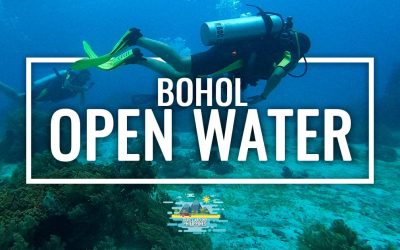Open Water Diver Course in Bohol: Cost, Duration & Best Dive Shop