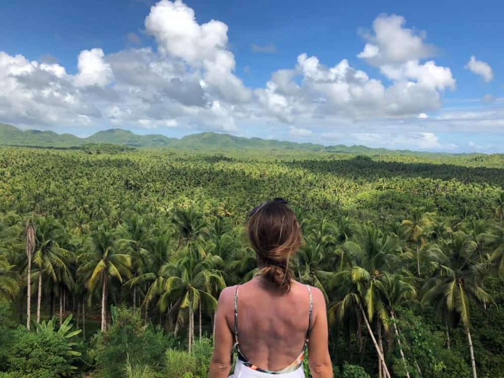 review of the Philippines