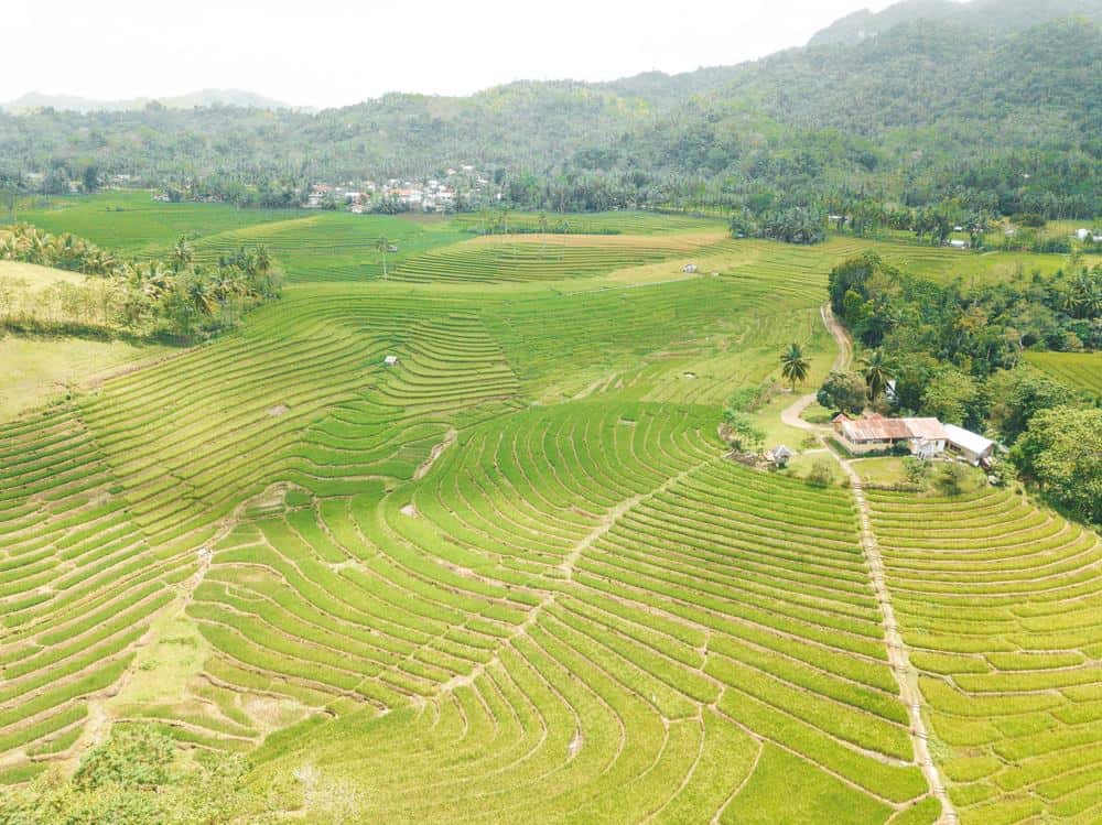 Things to do in Bohol, Anda