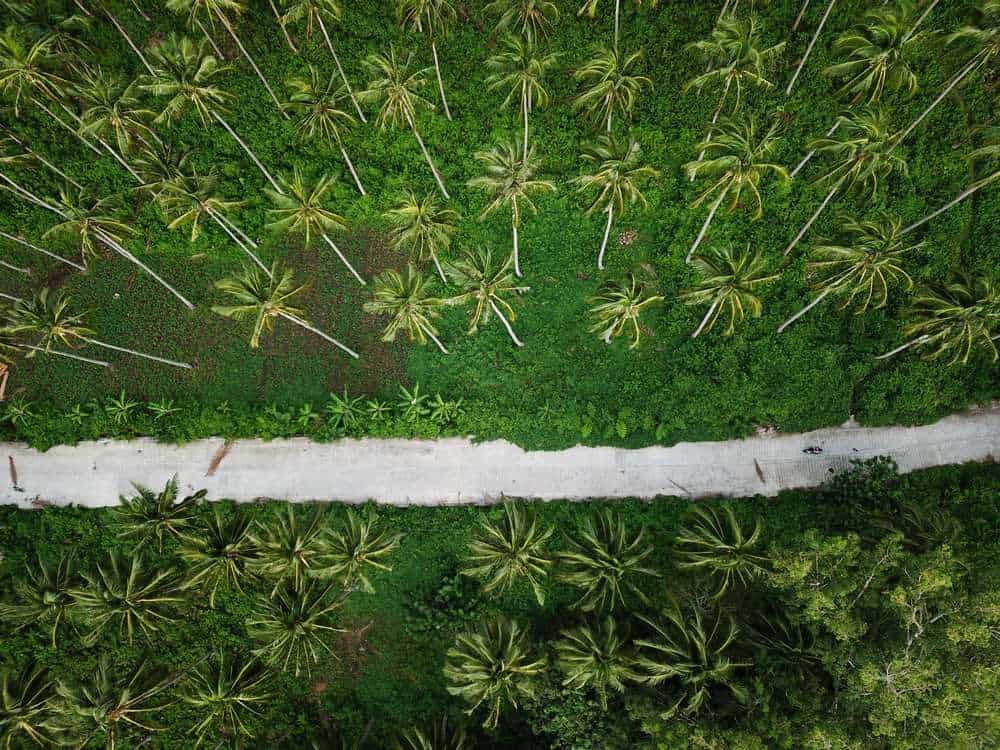 Explore Camiguin by motorbike