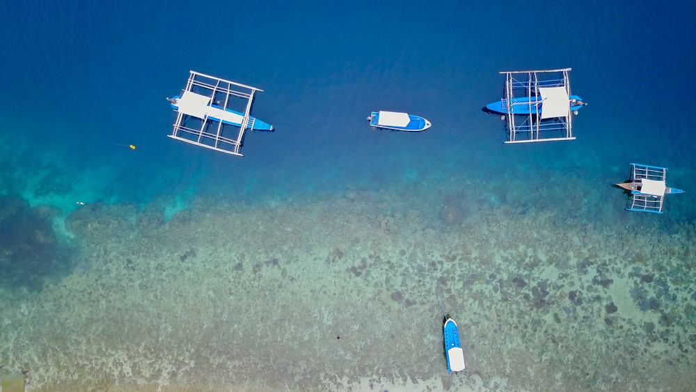 thresher shark Malapascua