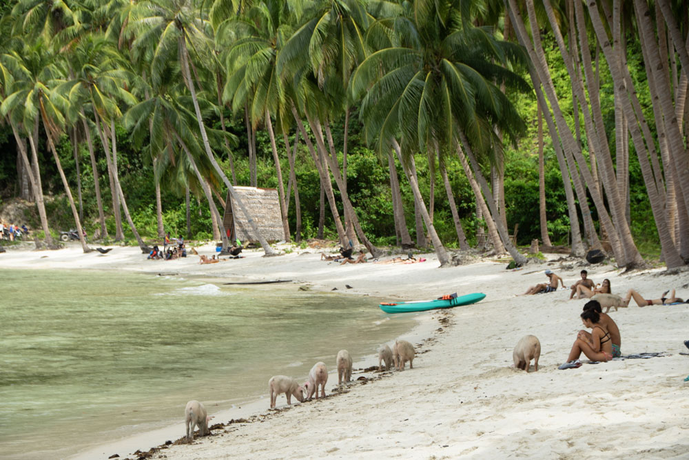 Coconut Beach in Port Barton