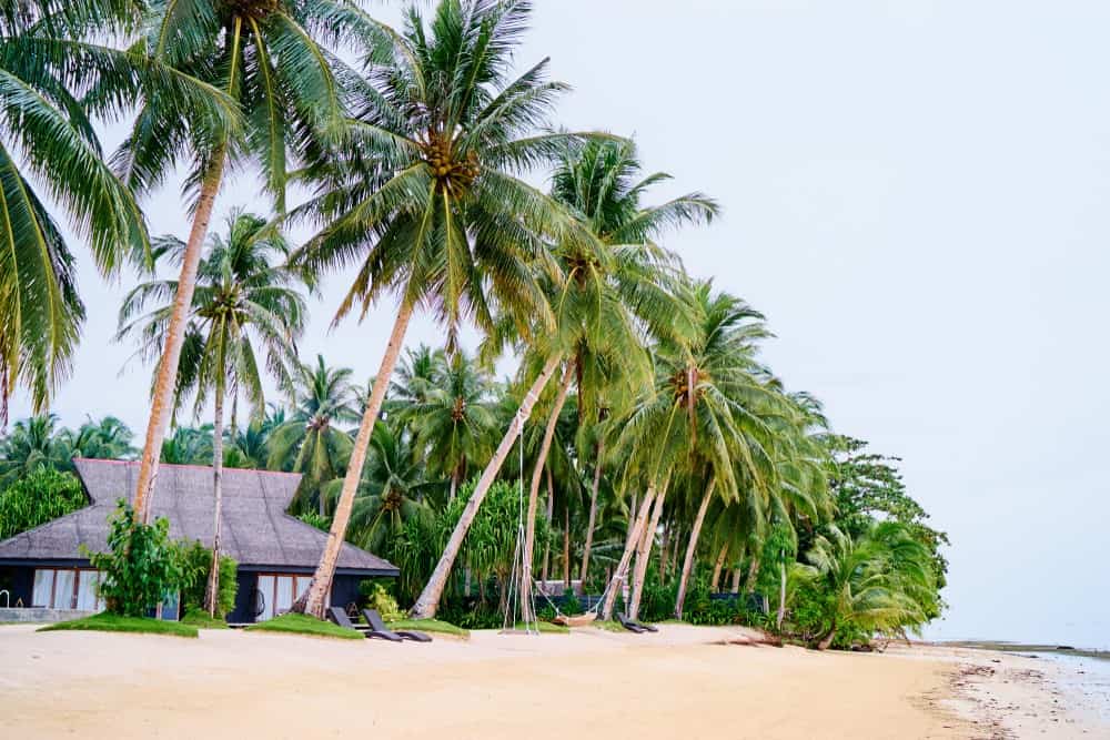 stay in beach resorts in Siargao