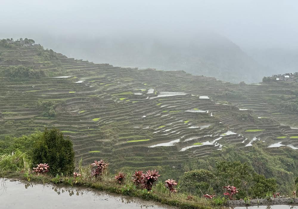 Typhoons safety Philippines