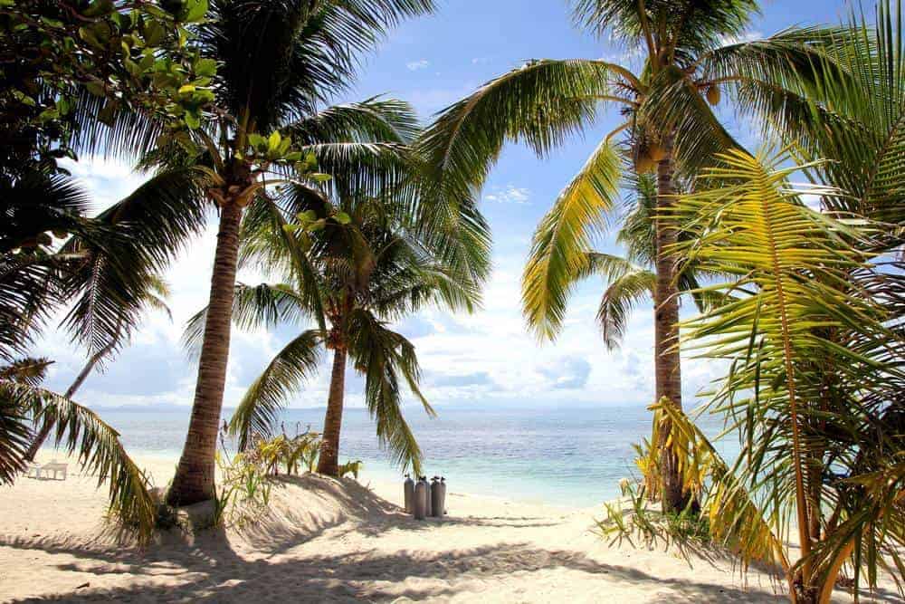 Plans to do in Malapascua