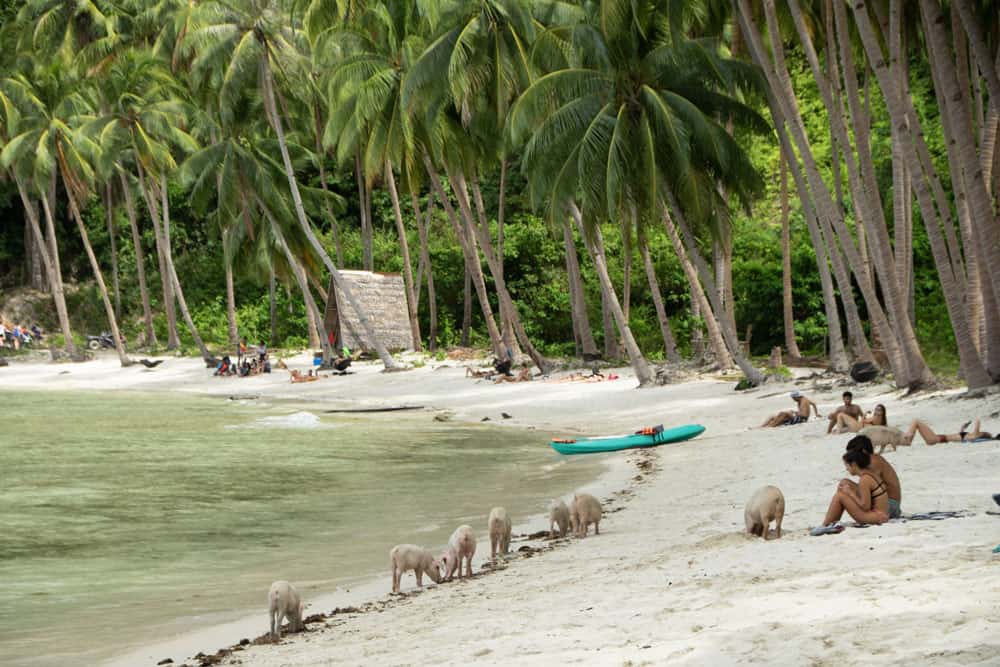 Coconut Beach (Port Barton)